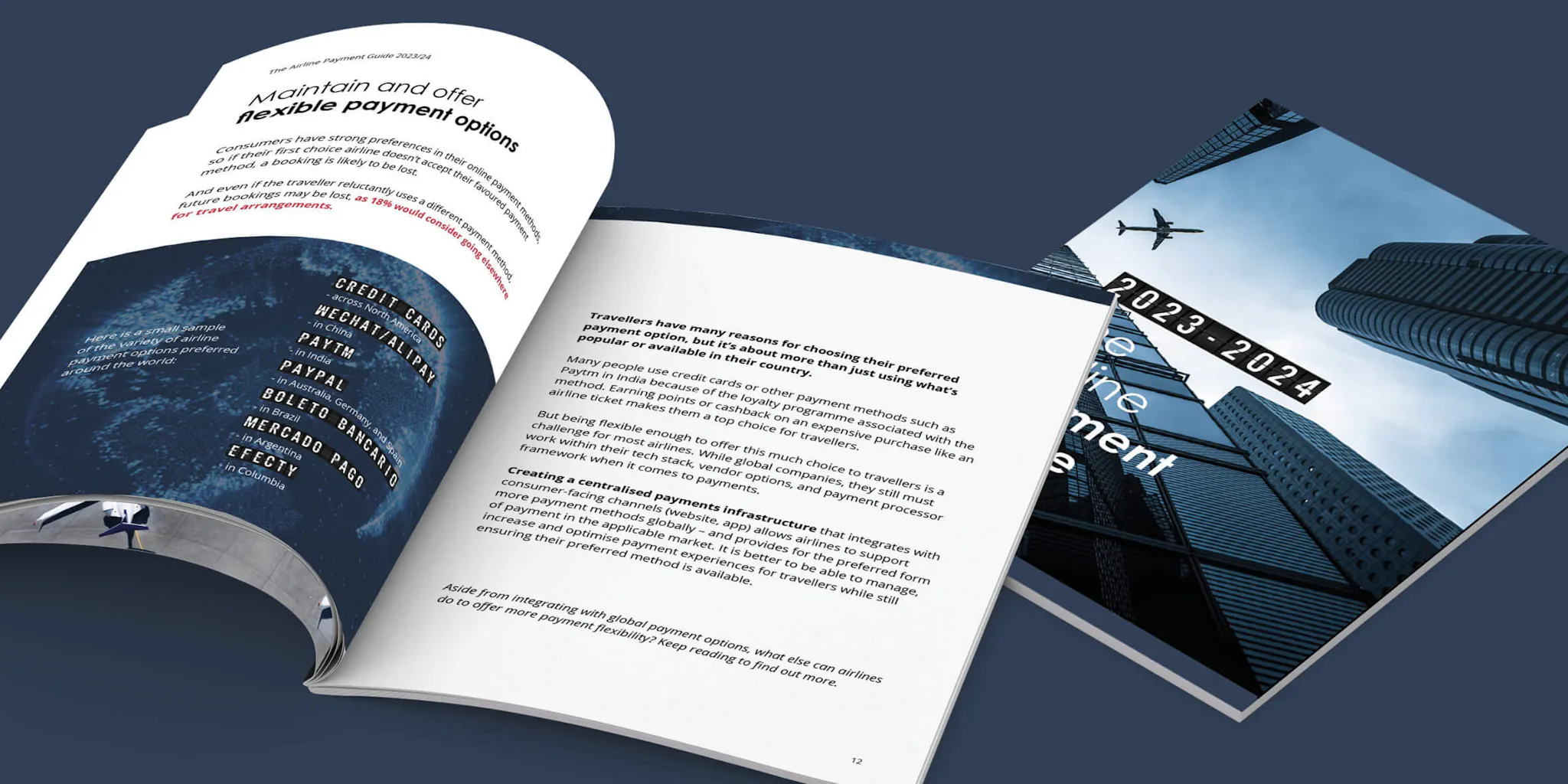 Ebooks Airline Payment Guide